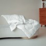 Одеяло "Лебяжий пух", стеганое, утепленное, 250 гр/м, полиэстер, 172х205см