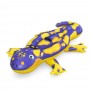 BESTWAY Плотик SPLASHIN" SALAMANDER, 191x119см, 41502