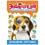 ПРОФ-ПРЕСС Энциклопедия "Для маленьких почемучек", 14,5х20,5см, 48 стр, 4 дизайна