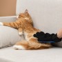 VETTA Перчатка-щетка для домашних животных, нейлон, ТПР, 22х16 см