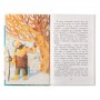 АСТ "Детское чтение", бумага, картон, 13,5х20,8см, 96-288 стр., 6 дизайнов
