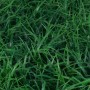 INBLOOM Изгородь искусственная 60x40см Сочная трава, полипропилен