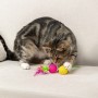 VETTA Игрушка для домашних животных, набор 2 шт, шарики с перьями, пластмасса
