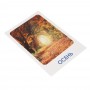 ИГРОЛЕНД Карточки развивающие "Окружающий мир", картон, 15х21,5см, 16 дизайнов