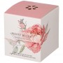 СВЕЧА АРОМАТИЗИРОВАННАЯ В СТАКАНЕ "PEONY BLUSH" 7,5*8,5 СМ