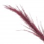 Ветка "Сухоцвет", L15 W15 H95 см
