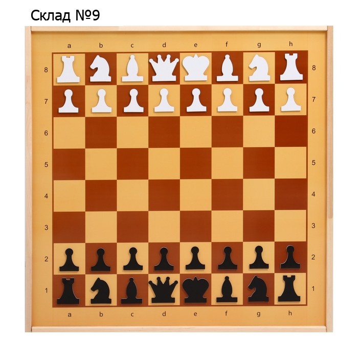 Шахматы демонстрационные, магнитные, 73×73 см