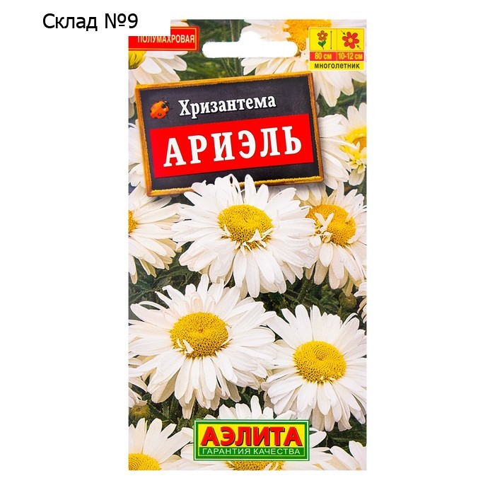 Семена  цветов Хризантема "Ариэль", Мн, 0,1 г