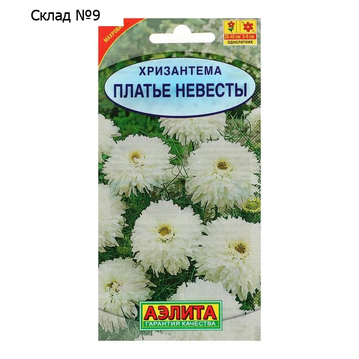 Семена  цветов Хризантема махровая "Платье невесты", О, 0,05 г
