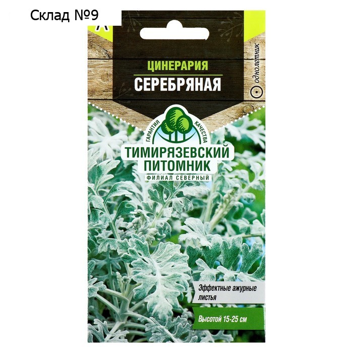 Семена цветов Цинерария "Серебряная", О, 0,05 г