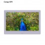 Цифровая фоторамка Digma PF-1043, 10.1", IPS, 1280x800, пластик, ПДУ, видео, белая