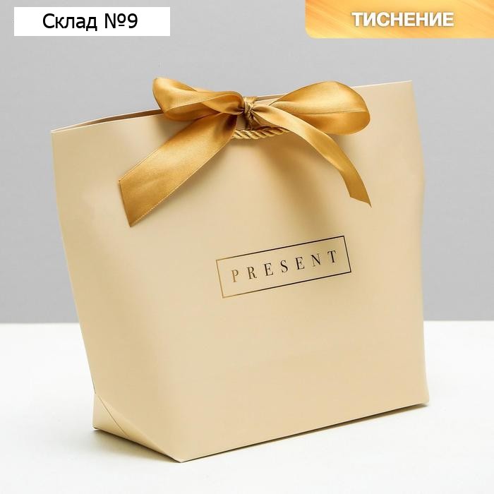 Пакет подарочный, упаковка, Present, 19 х 20 х 9 см