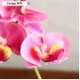 Композиция в горшочке "Орхидея" 5,5х23 см, микс