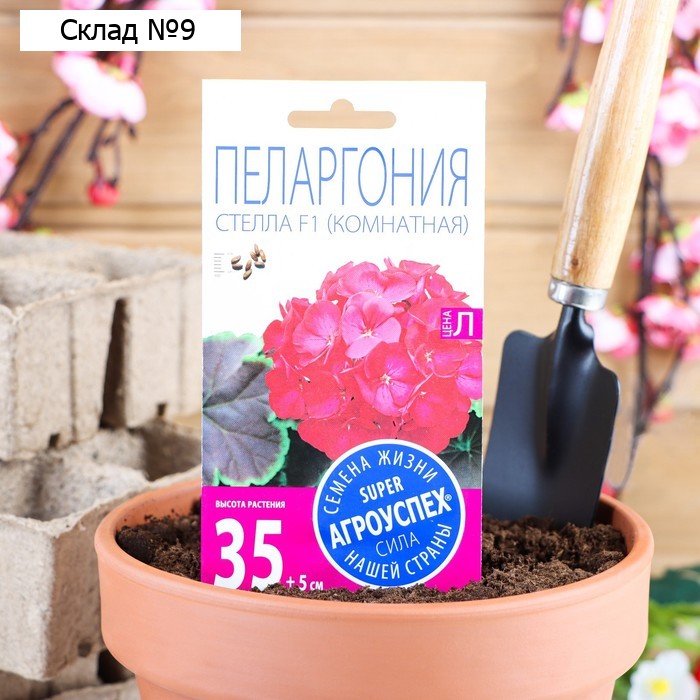 Семена цветов Пеларгония "Стелла", розовая с коричневым листом, F1, 4 шт