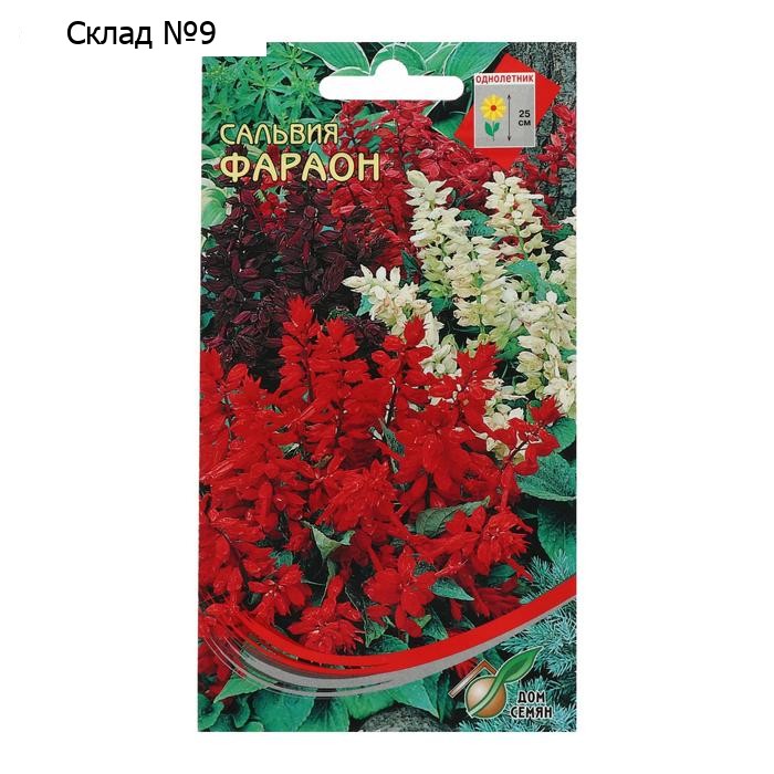 Семена цветов  Сальвия "Фараон", 15 шт