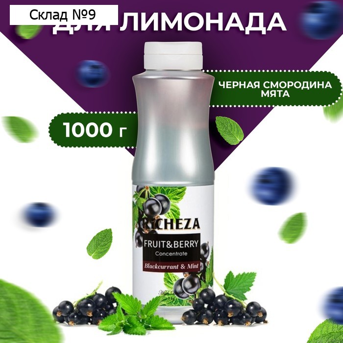 Концентрат RiCHEZA «Черная Смородина - Мята», 1000 г
