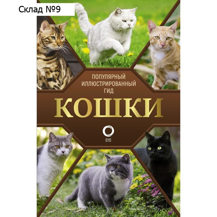 Кошки. Непомнящий Николай Николаевич