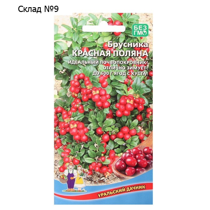 Семена Брусника "Красная поляна", 20 шт