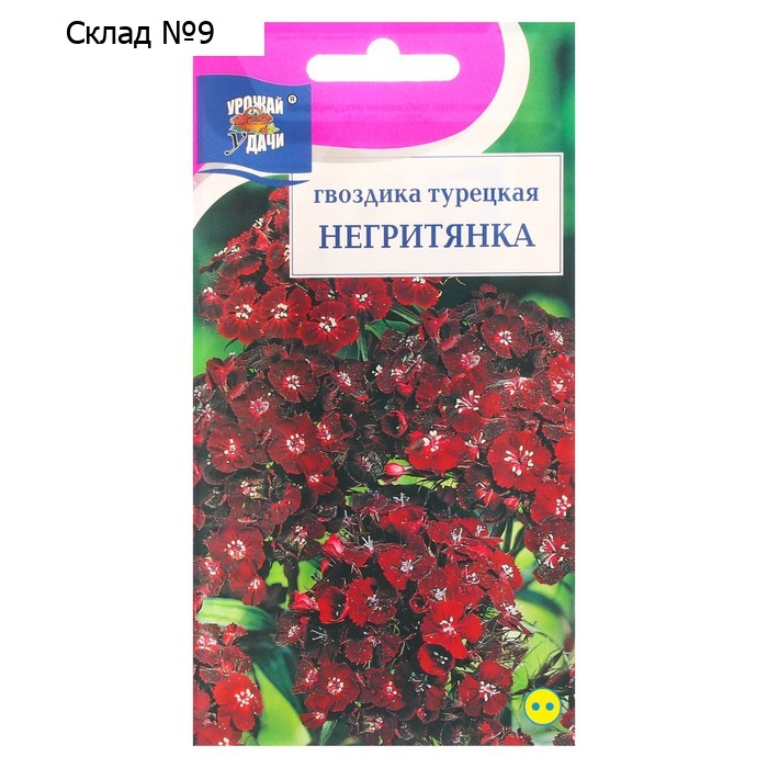 Семена цветов Гвоздика "Негитянка", турецкая, 0,1 г