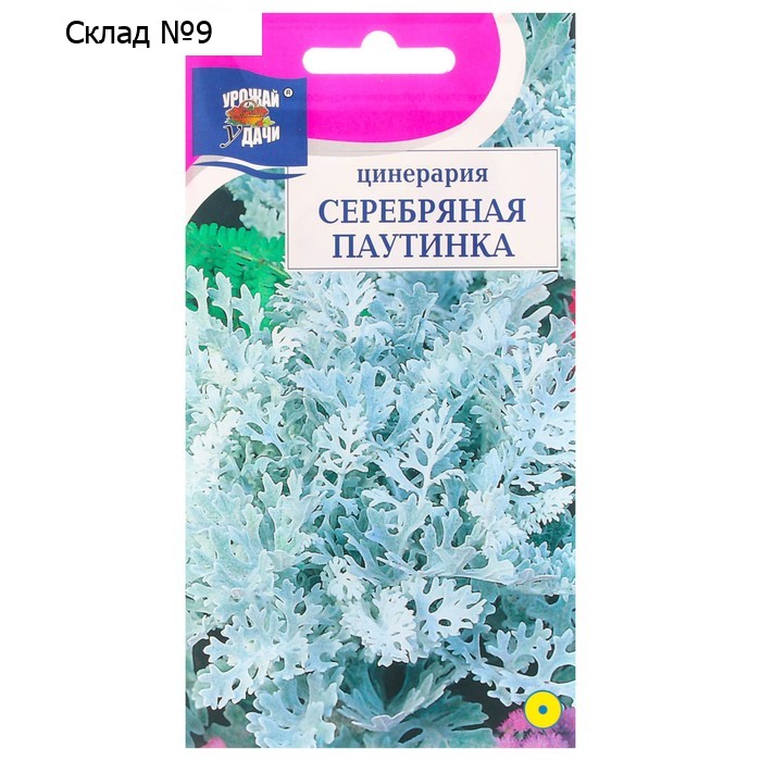 Семена цветов Цинерария "Серебряная паутинка", 0,1 г