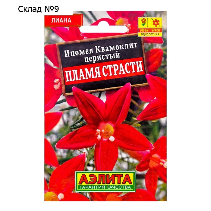 Семена Цветов Ипомея "Квамоклит Пламя страсти", 15 шт