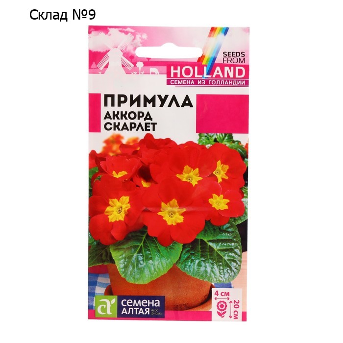 Семена цветов Примула "Аккорд", скарлет, Сем. Алт, ц/п, 5 шт