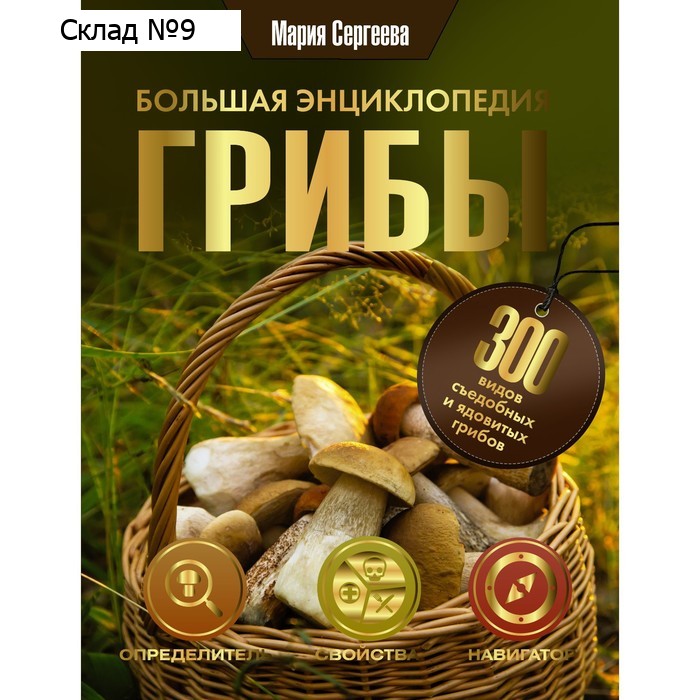 Грибы. Большая энциклопедия. Сергеева М.Н.