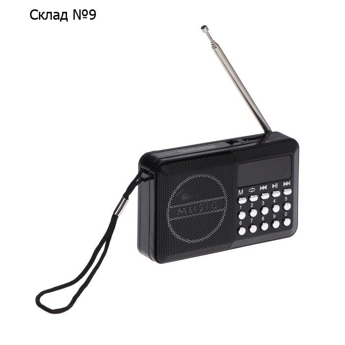Радиоприемник Telefunken TF-1667, FM+ 87.5 МГц - 108 МГц, MP3, USB, microSD,800 мАч, чёрный