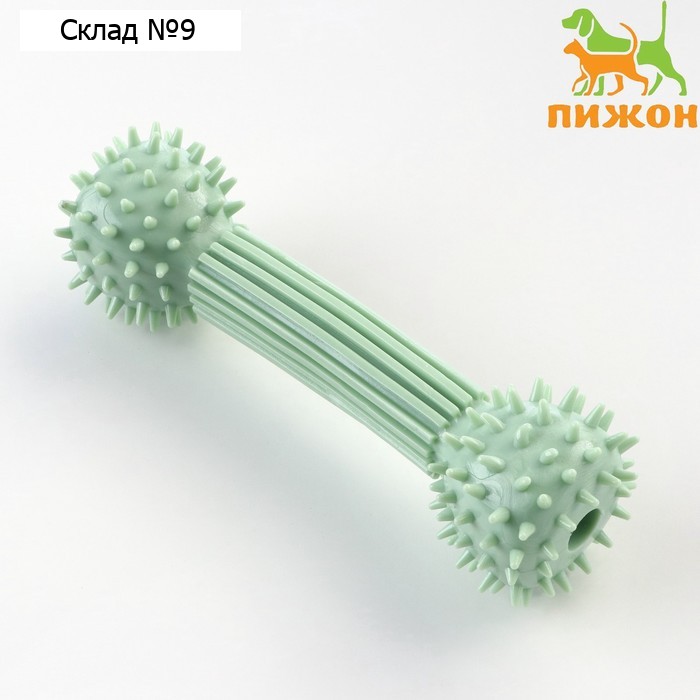 Игрушка для лакомств и сухого корма "Гантель", TPR, массажная, 14 х 4 см, зелёная