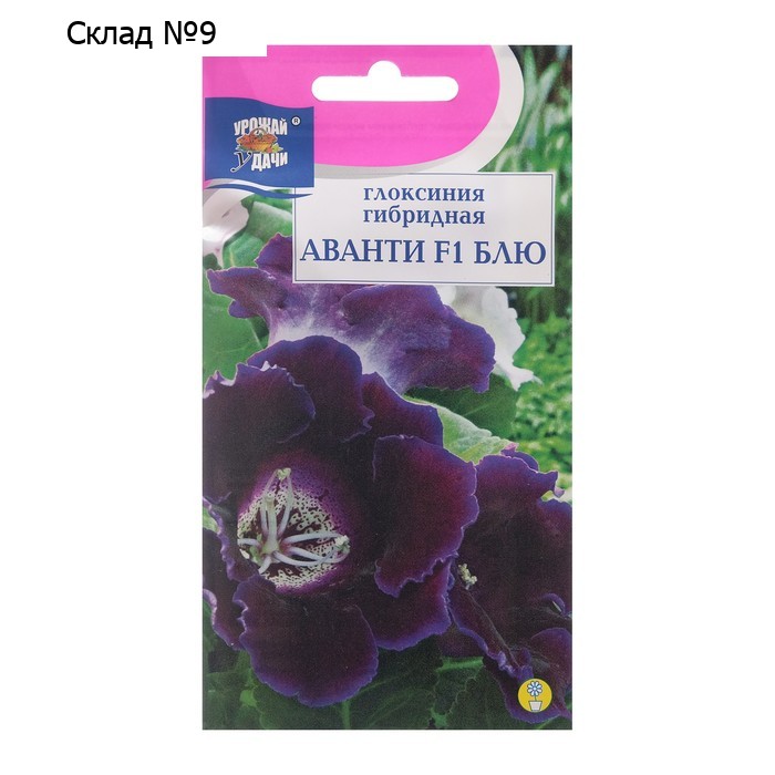Семена цветов Глоксиния "Аванти Блю F1", 3 шт. в амп.