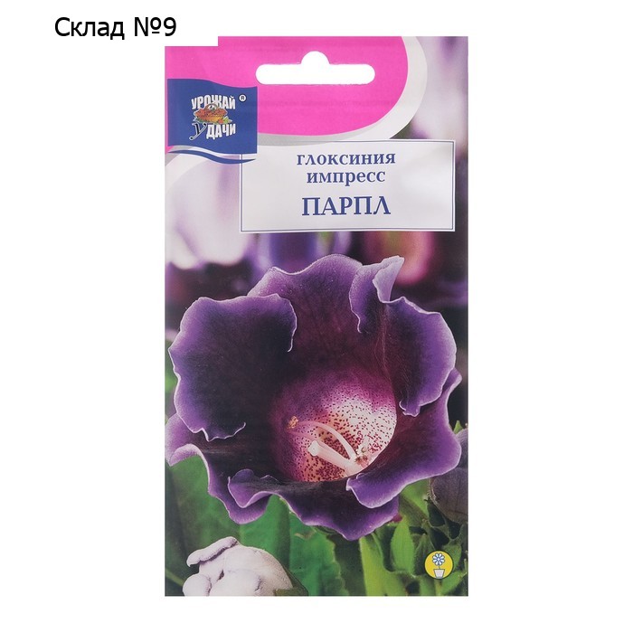 Семена цветов Глоксиния "Импресс Парпл", 3 шт. в амп.
