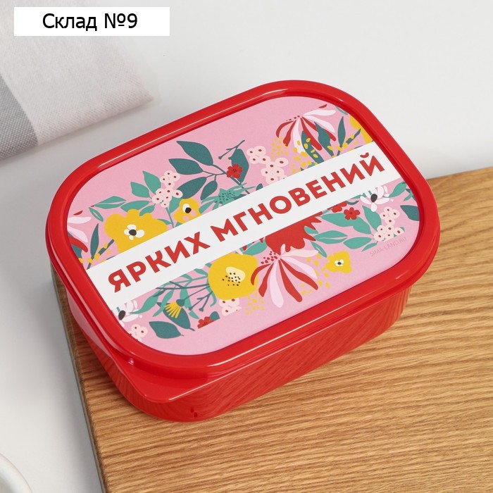 Ланч бокс прямоугольный «Ярких мгновений», 500 мл