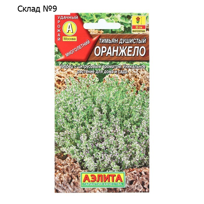 Семена Тимьян "Оранжело", 10 шт