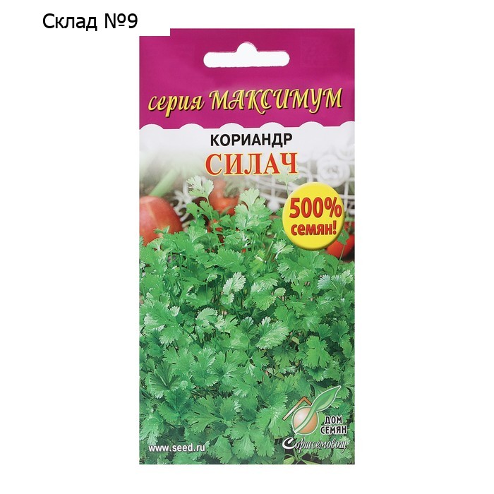 Семена Кориандр "Силач,  1100 шт