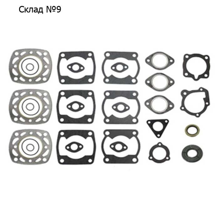 Комплект прокладок с сальниками, Polaris, OEM 3084522, 3240041, 3084525, 3085308, 3084439