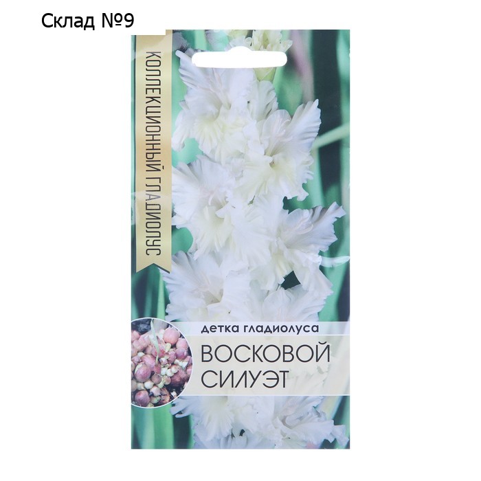 Клубнепочка гладиолуса Восковой силуэт (белый), 5 шт.