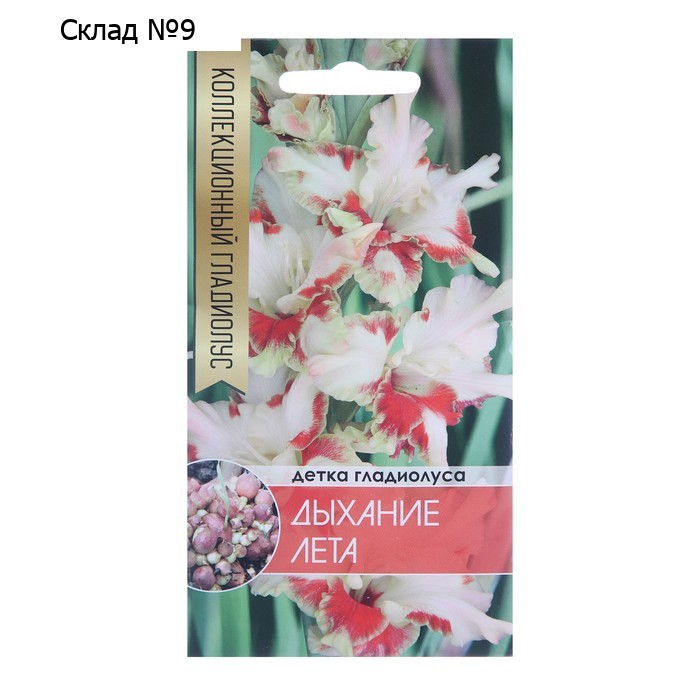 Клубнепочка гладиолуса Дыхание лета (белый с красным пятном), 5 шт.