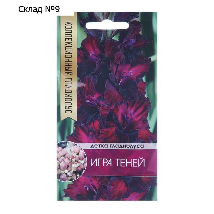 Клубнепочка гладиолуса Игра теней (темный), 5 шт.