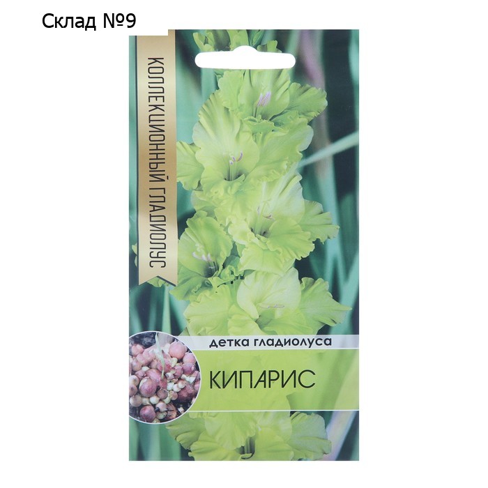 Клубнепочка гладиолуса Кипарис (желтый), 5 шт.