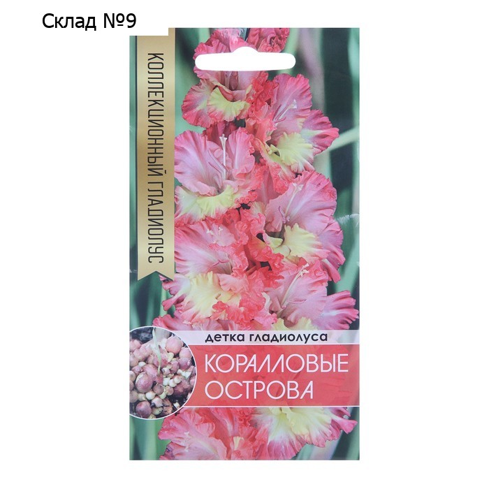 Клубнепочка гладиолуса Коралловые острова (трехцветный), 5 шт.