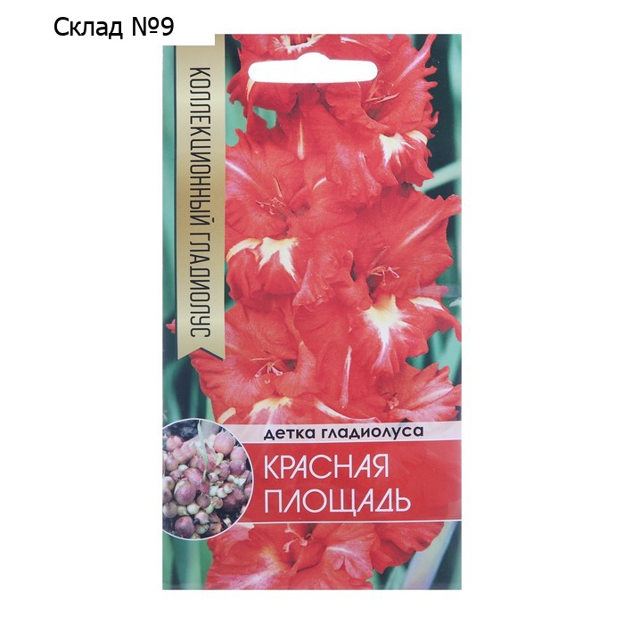 Клубнепочка гладиолуса Красная площадь (красный + немного белого), 5 шт.