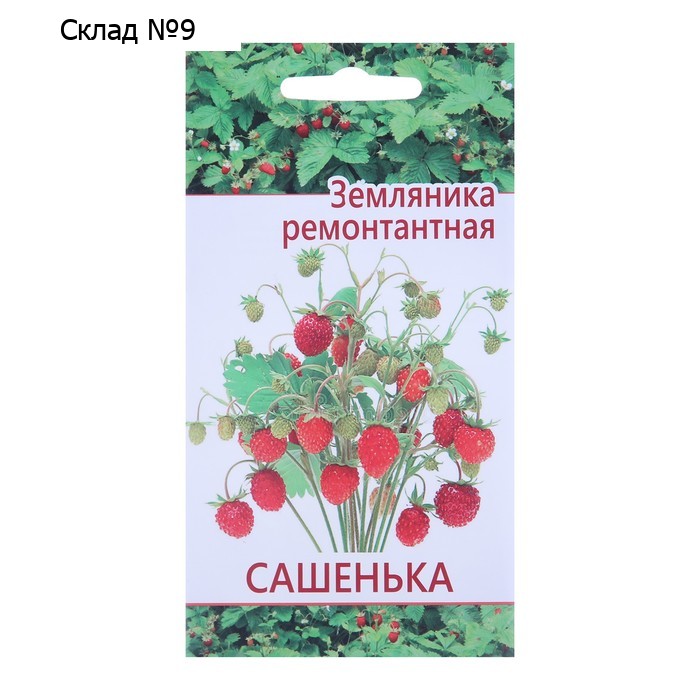 Семена "Растет дома и на даче" Земляника Сашенька  10 шт