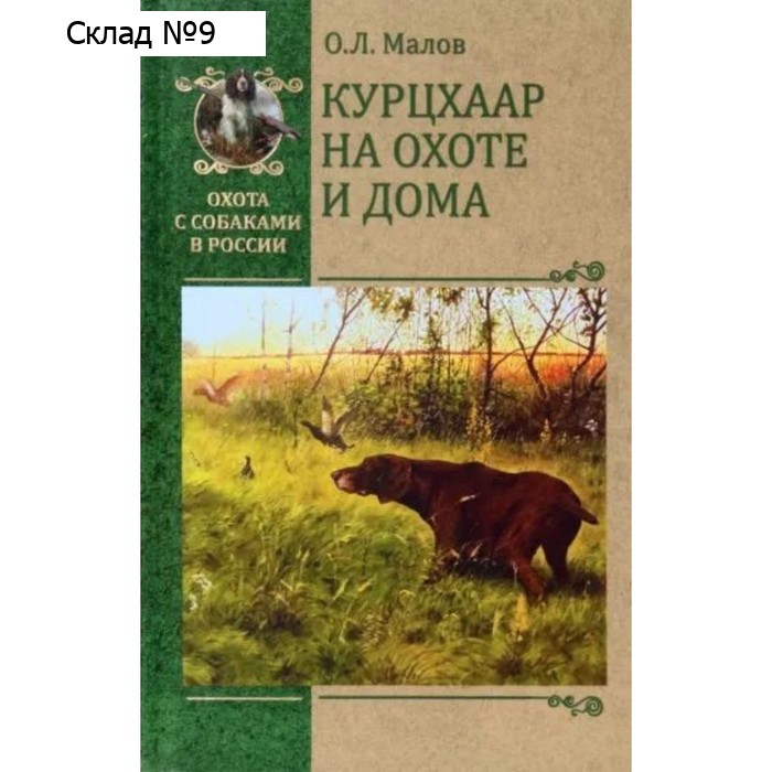 Курцхаар на охоте и дома. Малов О.