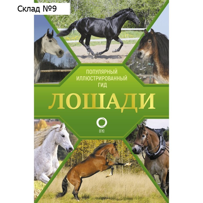Лошади. Иллюстрированный гид. Спектор А.А.