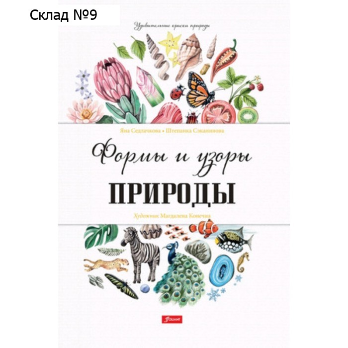 Формы и узоры природы