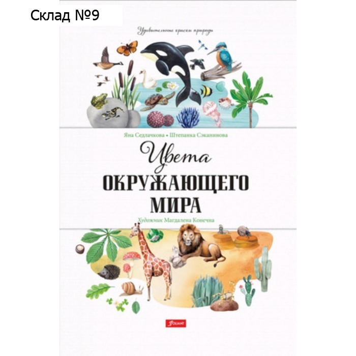 Цвета окружающего мира