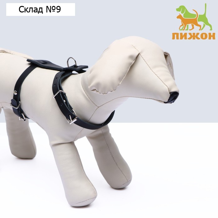 Шлейка кожаная, 1,2 см, для кошек и мелких пород собак, ОШ 26-34, ОГ 36-44, черная
