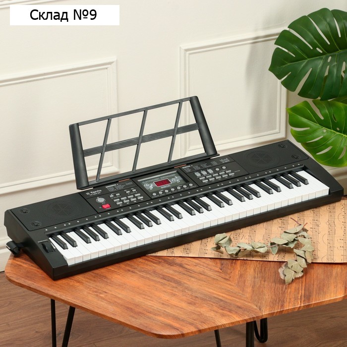 Синтезатор TERRIS TK-250 BK