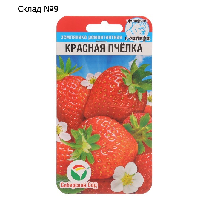 Земляника "Красная пчелка", 10 шт