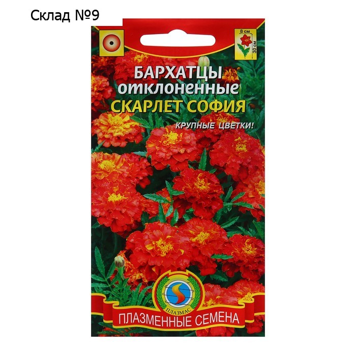 Семена Бархатцы отклоненные "Скарлет София", 3 г